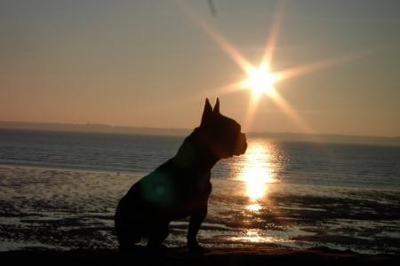 Coucher de soleil